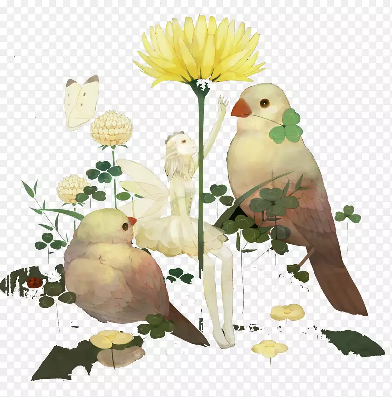 童话插图-仙女与鸟