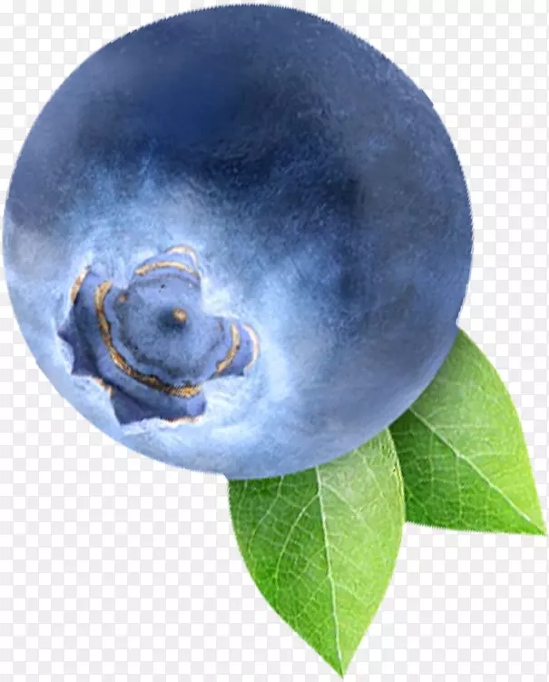 蓝莓果实-美味诱人的蓝莓