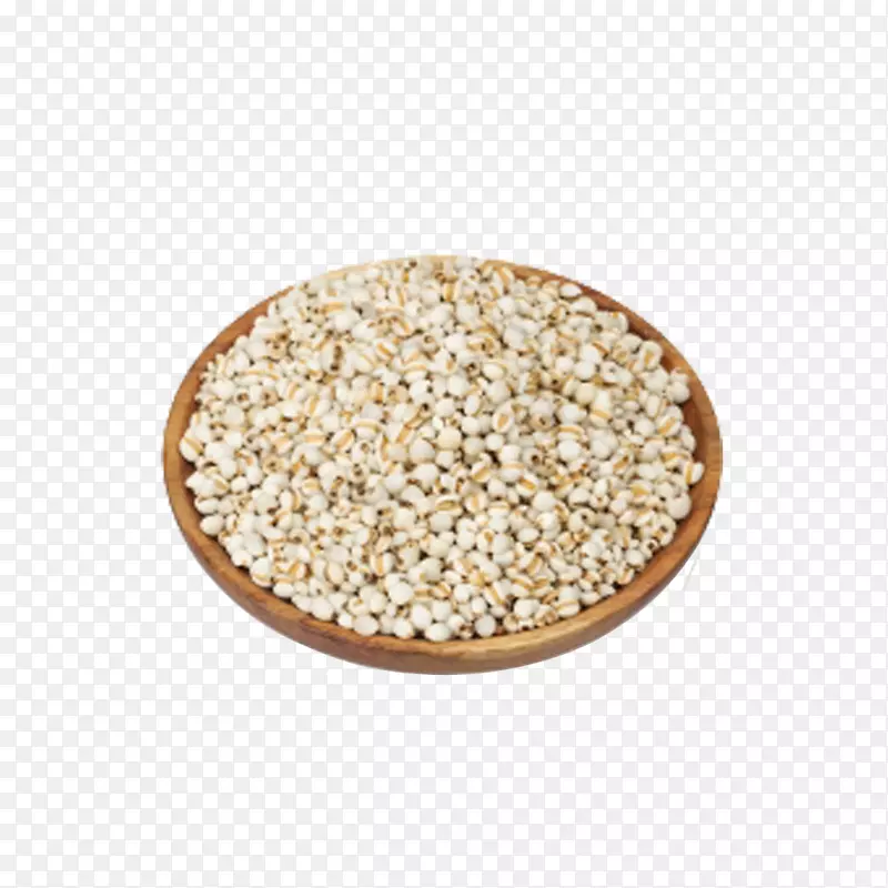 大麦Coix载体图标-特色大麦稻米
