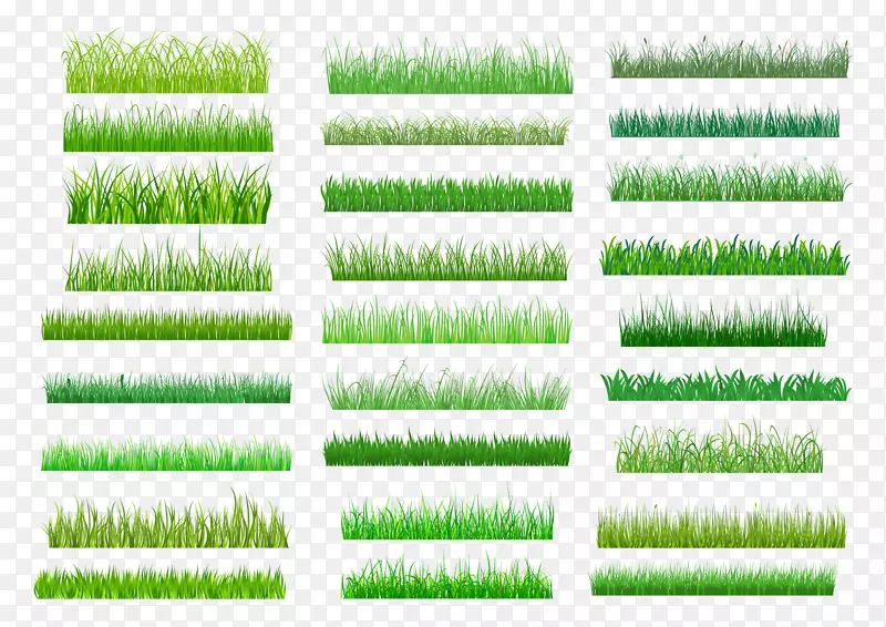 草坪绿色皇室-免费剪贴画-草本植物风格