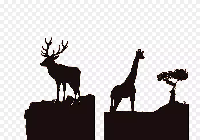 非洲驯鹿轮廓野生动物-非洲野生动物轮廓