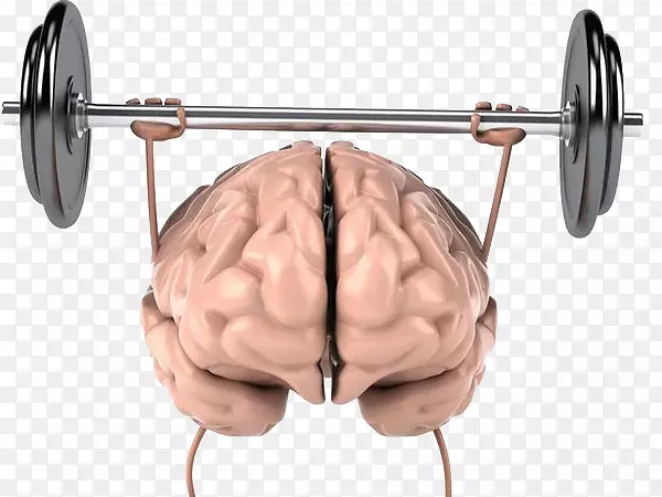 脑体运动身体力量认知训练人体脑运动举重