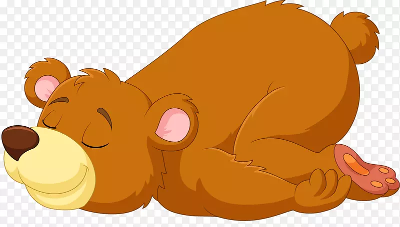 非人类动物中的熊睡眠图-睡眠熊