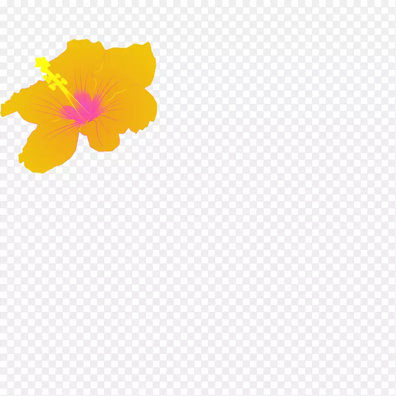 花瓣黄色芙蓉图案-芙蓉花图