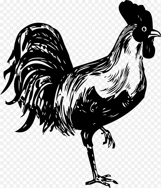 鸡夹艺术-公鸡插图