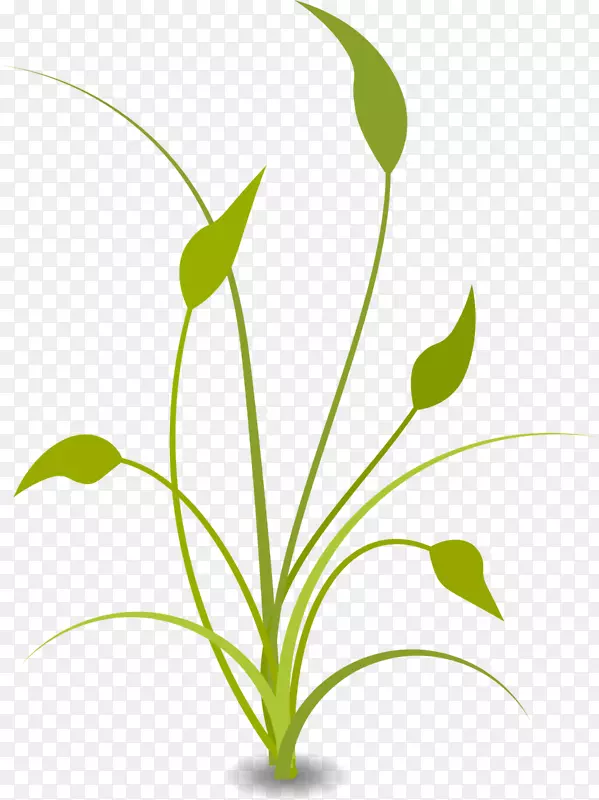 自然免费内容剪贴画-大豆茎秆剪贴画