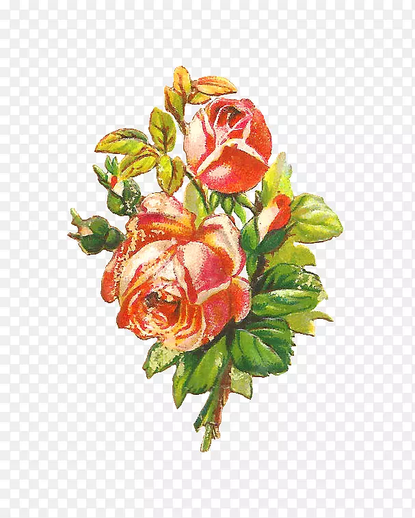 花园玫瑰粉红色破旧别致剪贴画免费花卉图形
