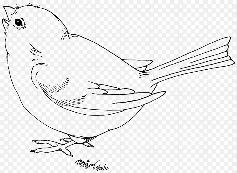鸟类家养金丝雀夹艺术-鸟类剪贴画