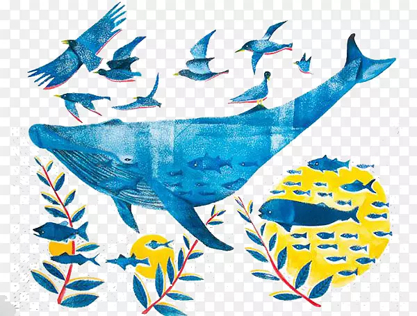 视觉艺术鲸鱼插图-蓝鲸