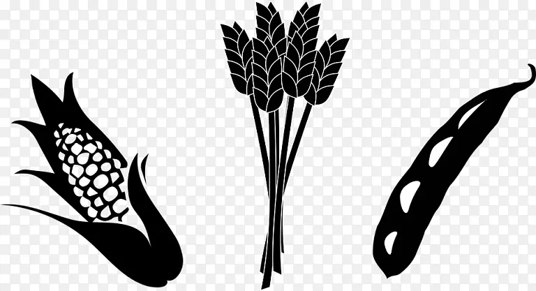农作物农业，玉米，大豆剪贴画.大豆茎秆