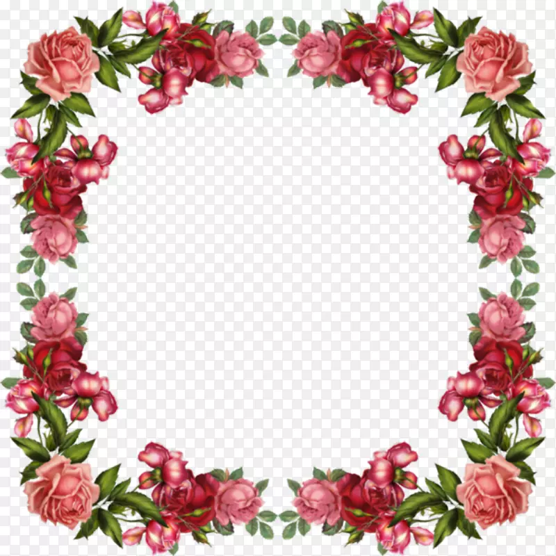玫瑰花粉色剪贴画-美丽的边框