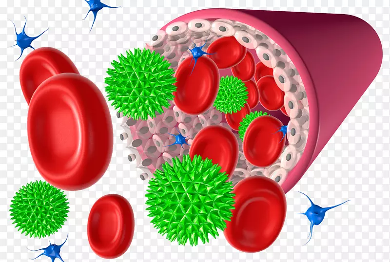 红细胞血小板图-血液病原体