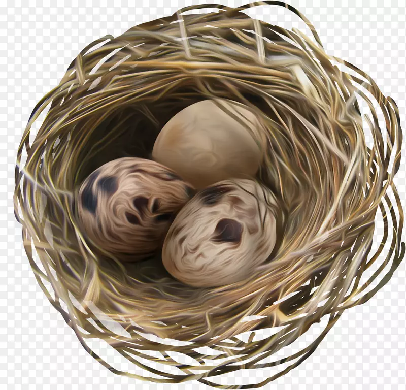 蛋窝复活节巢