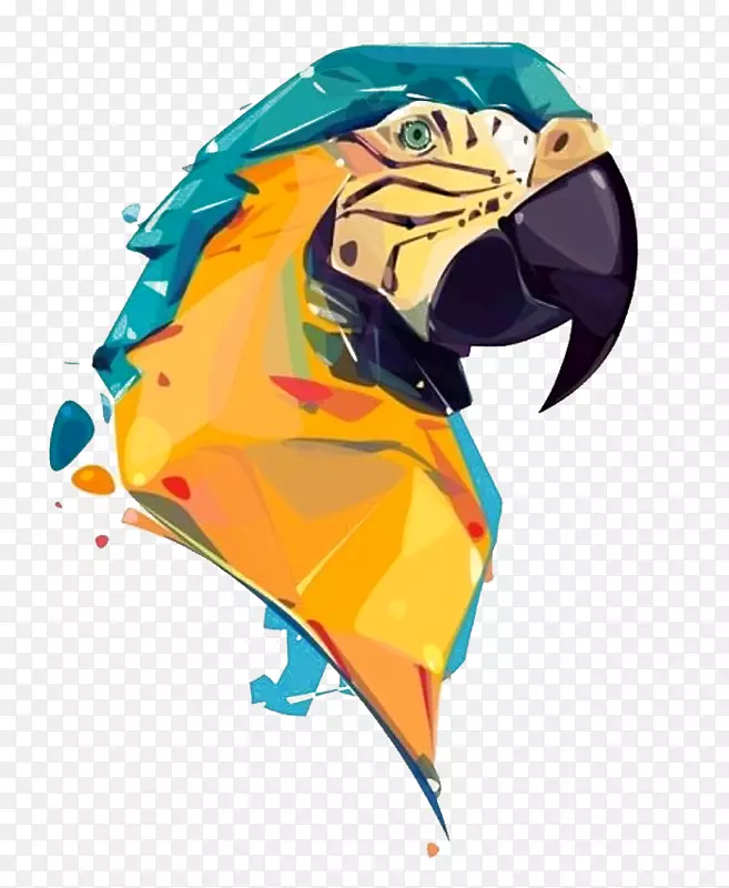 绘画数字艺术数码插图鹦鹉