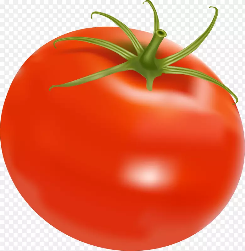 辣椒酱番茄蔬菜剪贴画-番茄