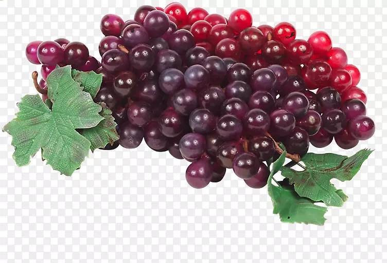 葡萄干醋栗蒸馏饮料蔓越莓-一串葡萄
