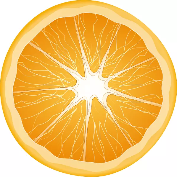 柑桔xd 7香橙切片水果剪贴画