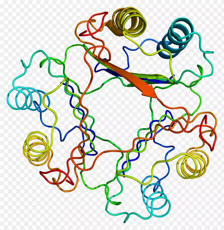 巨噬细胞移动抑制因子细胞因子蛋白炎症-巨噬细胞