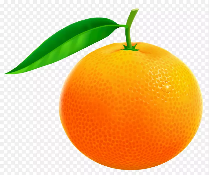 免费内容剪贴画-水果橙色剪贴画
