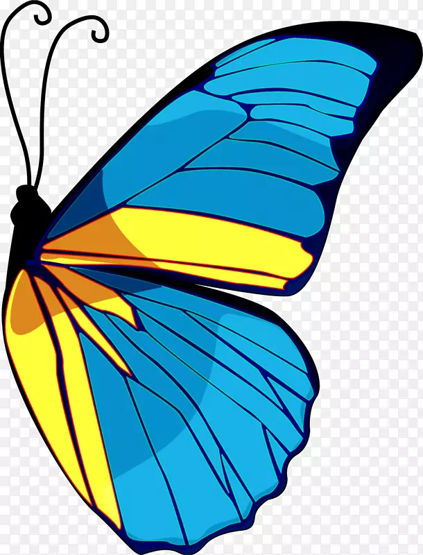 帝王蝴蝶标志海报-蓝色蝴蝶