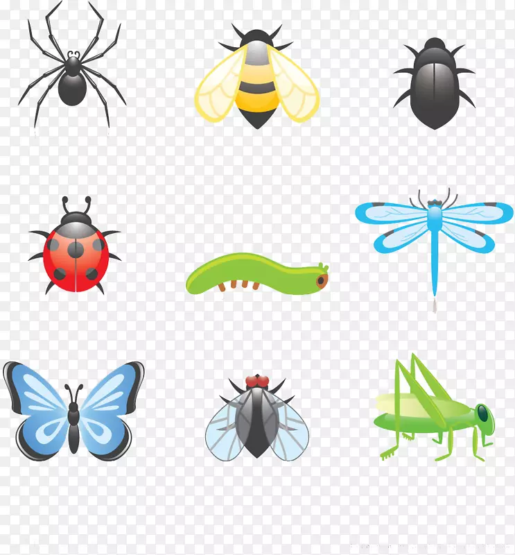 甲虫动画剪贴画昆虫