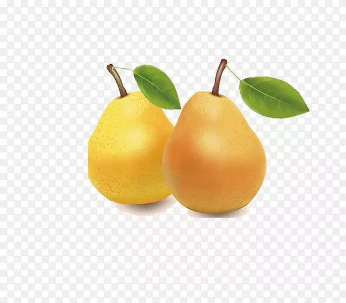 水果下载夹艺术-鲜梨