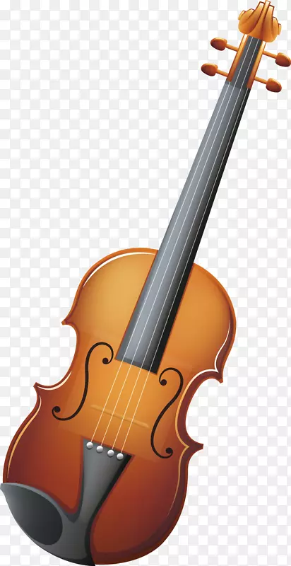 低音小提琴中提琴低音小提琴小提琴