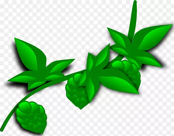 植物古柯剪贴画-啤酒花剪贴画
