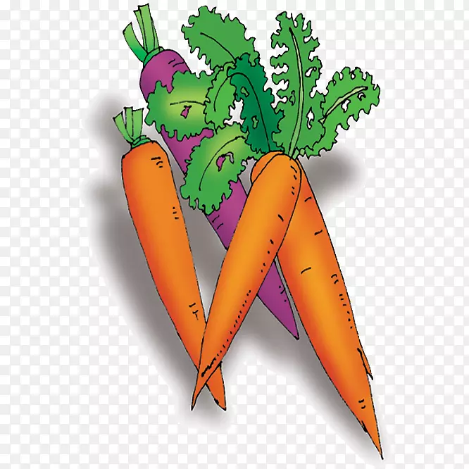 胡萝卜蔬菜卡通蔬菜胡萝卜