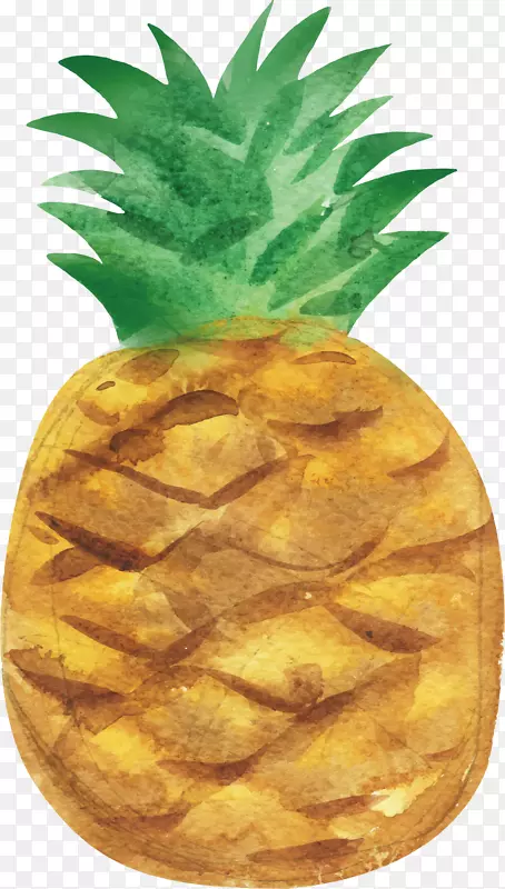 菠萝水彩画水果手绘菠萝