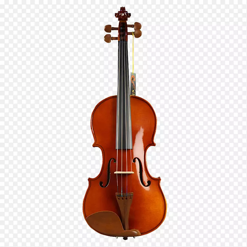 小提琴乐器弓弦大提琴木棉树v 008 zaomu初学者小提琴