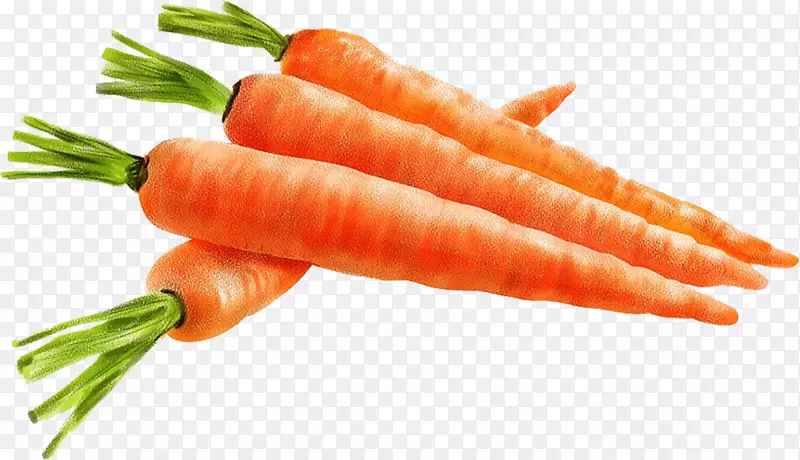 小胡萝卜本地食品米利波瓦天然食品手绘胡萝卜