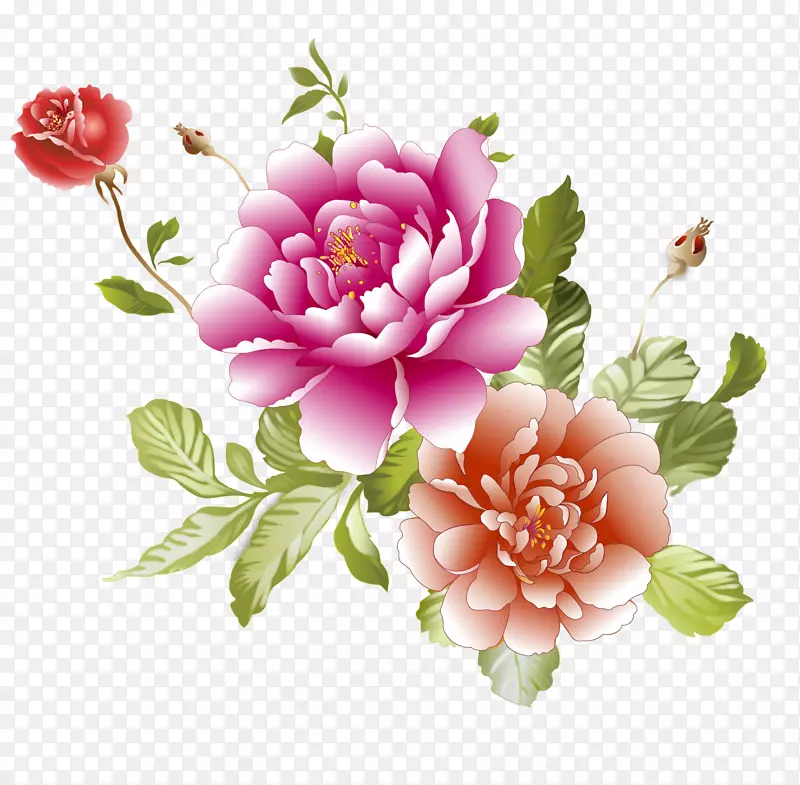 昆虫夏草，玫瑰，花卉设计，切花，牡丹，人造花-牡丹