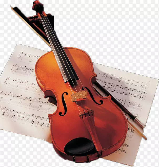 小提琴乐器大提琴-可爱的小提琴