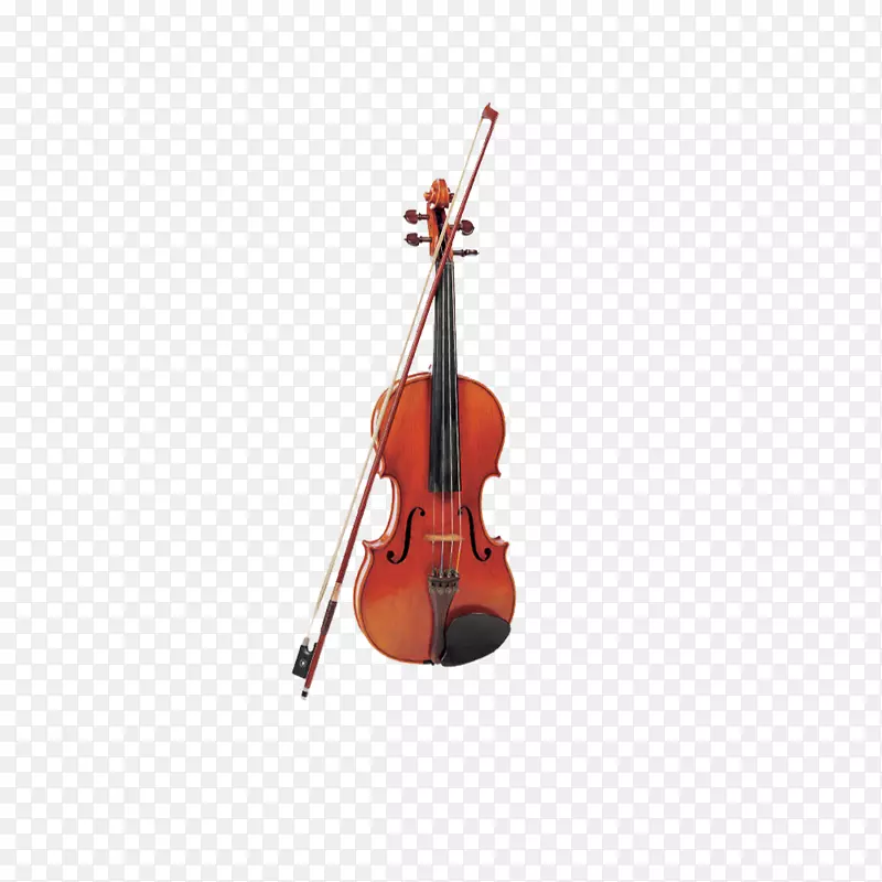 低音小提琴中提琴乐器精巧小提琴