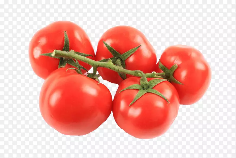李子番茄灌木丛番茄图片