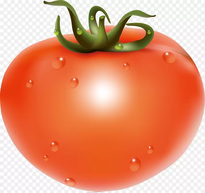樱桃番茄水果食品蔬菜番茄载体番茄