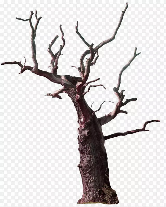 树枝钩-旧树装饰图案