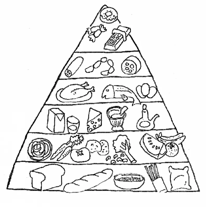 食品金字塔着色书食品组营养食品金字塔剪贴画