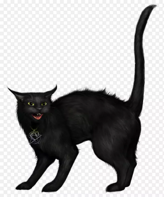 黑猫剪贴画-万圣节黑猫图片