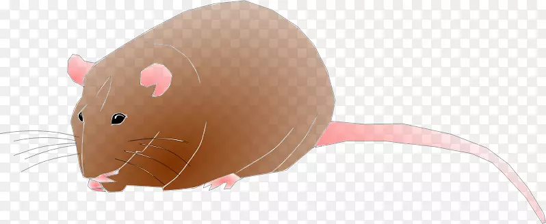 老鼠电脑鼠标卡通插图-啮齿类剪贴画