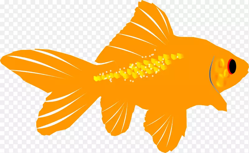 金鱼剪贴画-简易鱼类剪贴画