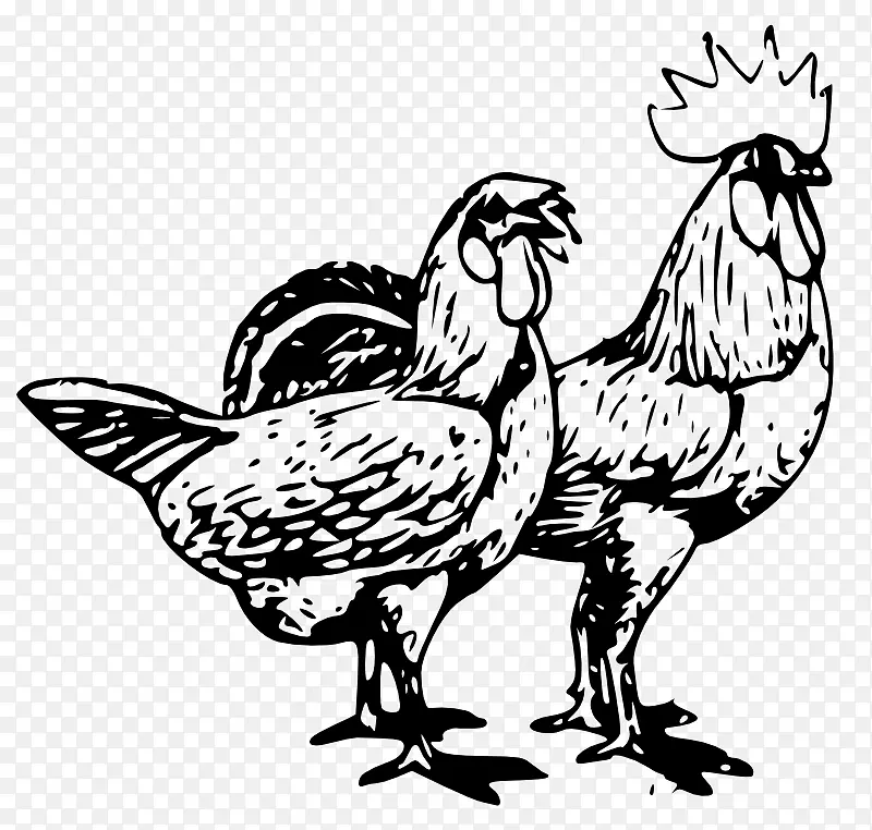鸡禽养殖剪贴画.公共领域线艺术