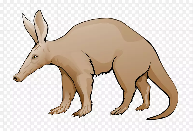 Aardvark网站剪贴画-aardvark剪贴画