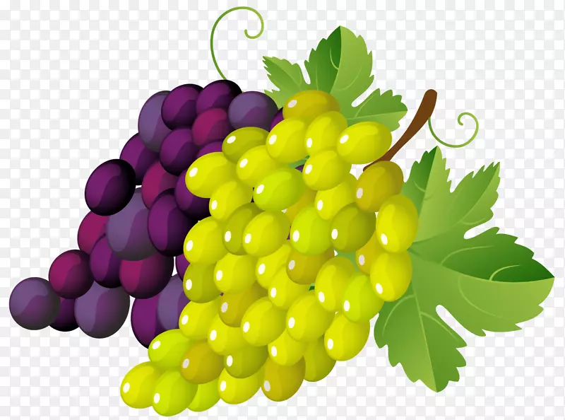 葡萄酒普通葡萄剪贴画.紫色葡萄片