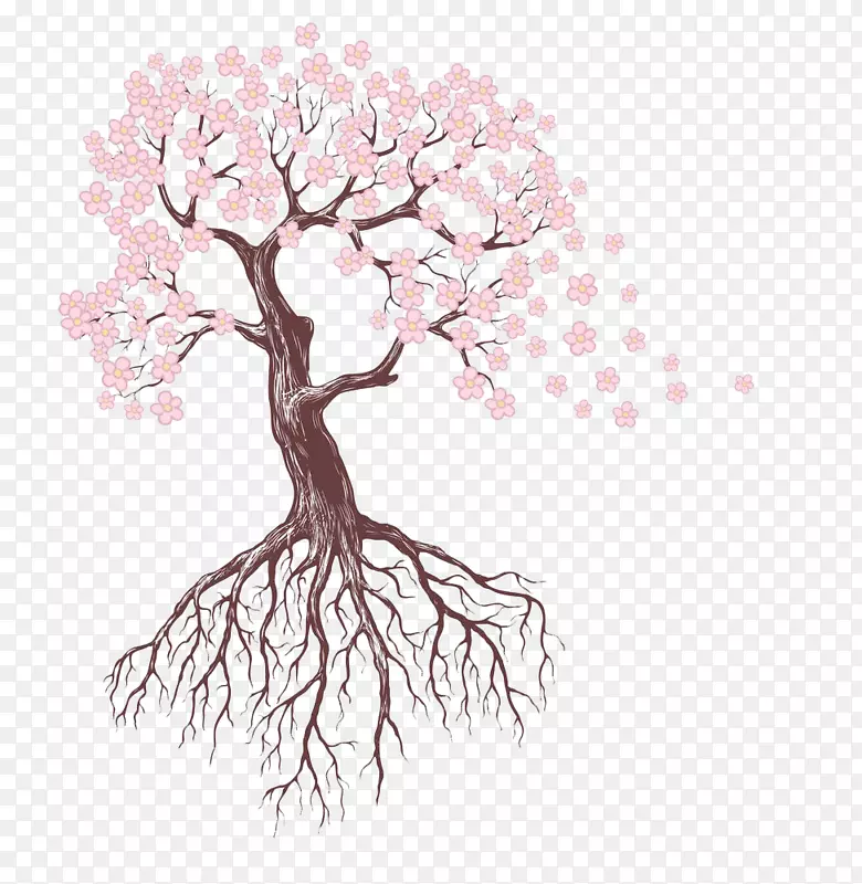 画树根素描-粉红色樱花