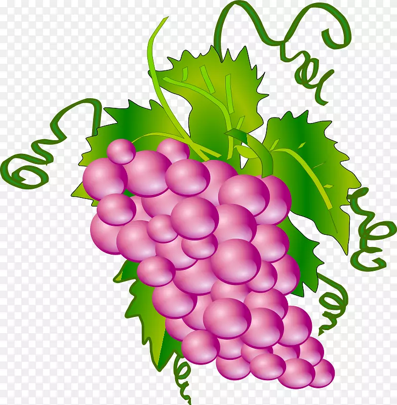 普通葡萄酒夹艺术.紫色葡萄片