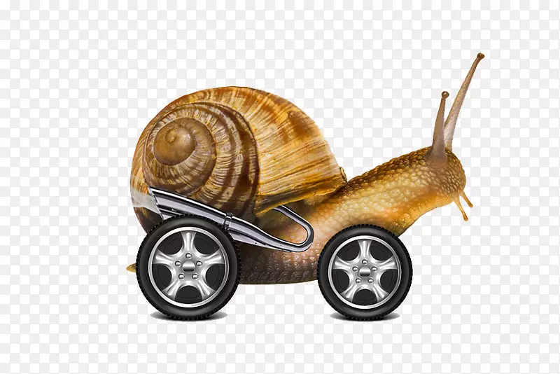 蜗牛网络-蜗牛车