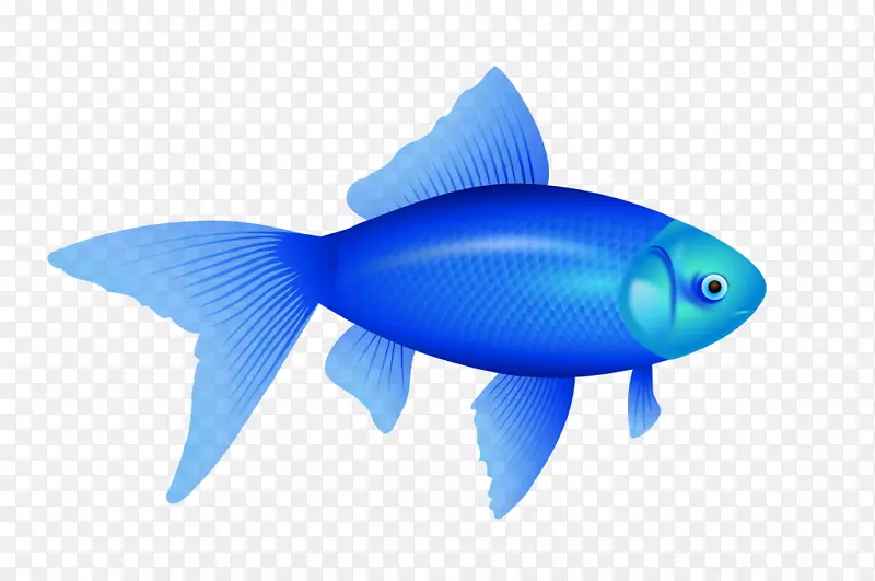 一条鱼，两条鱼，红鱼，蓝鱼红鼓金鱼剪贴画-金鱼吻剪贴画