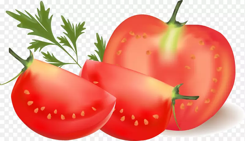 樱桃番茄蔬菜剪贴画-番茄